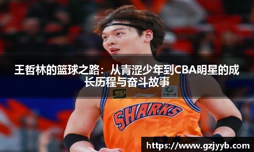 王哲林的篮球之路：从青涩少年到CBA明星的成长历程与奋斗故事