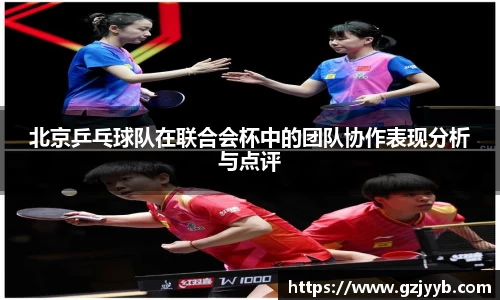 北京乒乓球队在联合会杯中的团队协作表现分析与点评