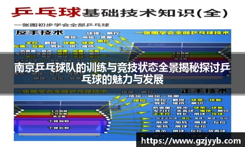 南京乒乓球队的训练与竞技状态全景揭秘探讨乒乓球的魅力与发展